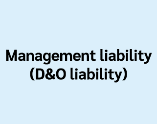Management liability (D&O liability)