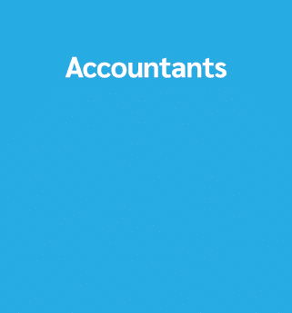 Accountants