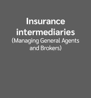 Insurance intermediaries (Managing General Agents and Brokers)