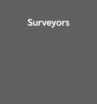 Surveyors